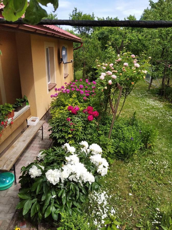 Apartament W Domu Na Wsi Daire Tomaszów Lubelski Dış mekan fotoğraf