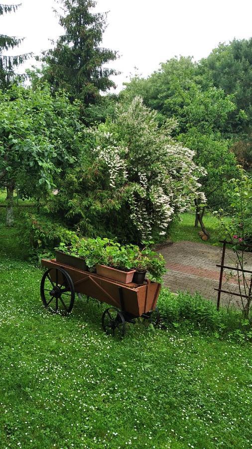 Apartament W Domu Na Wsi Daire Tomaszów Lubelski Dış mekan fotoğraf